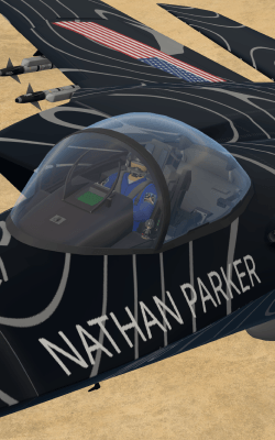 Nathan Parker posing in the F/A-26B in VTOL VR at 12,000 ft.